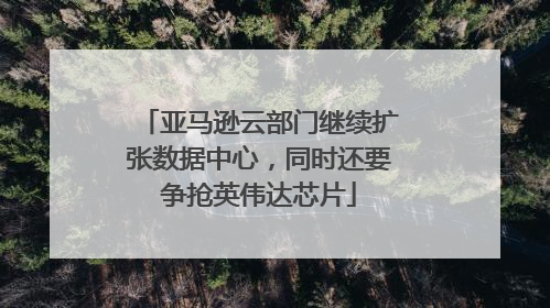 亚马逊云部门继续扩张数据中心，同时还要争抢英伟达芯片