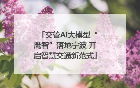 交管AI大模型“鹰智”落地宁波 开启智慧交通新范式