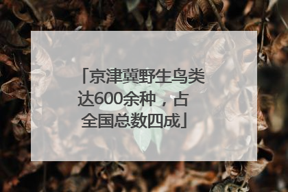 京津冀野生鸟类达600余种，占全国总数四成