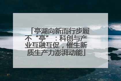 亭湖向新而行步履不“亭”：科创与产业互融互促，催生新质生产力澎湃动能