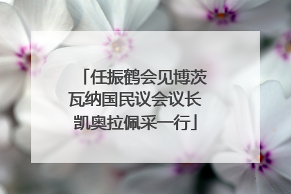 任振鹤会见博茨瓦纳国民议会议长凯奥拉佩采一行
