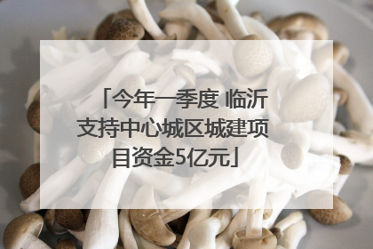 今年一季度 临沂支持中心城区城建项目资金5亿元