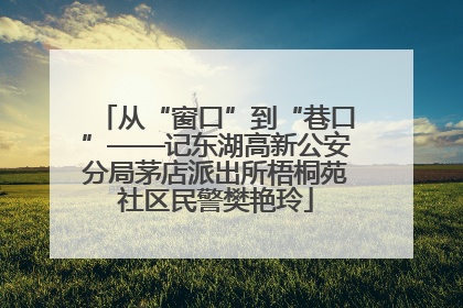 从“窗口”到“巷口”——记东湖高新公安分局茅店派出所梧桐苑社区民警樊艳玲