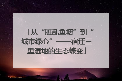 从“脏乱鱼塘”到“城市绿心”——宿迁三里湿地的生态蝶变