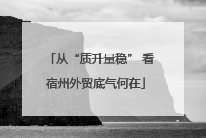 从“质升量稳” 看宿州外贸底气何在