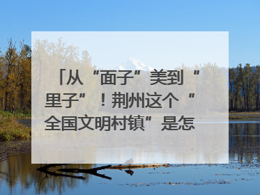 从“面子”美到“里子”！荆州这个“全国文明村镇”是怎样炼成的？