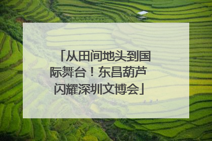从田间地头到国际舞台！东昌葫芦闪耀深圳文博会