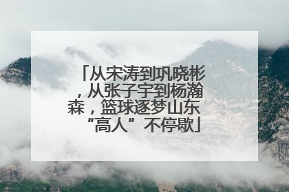 从宋涛到巩晓彬，从张子宇到杨瀚森，篮球逐梦山东“高人”不停歇