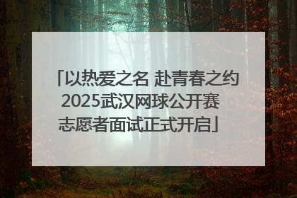 以热爱之名 赴青春之约 2025武汉网球公开赛志愿者面试正式开启