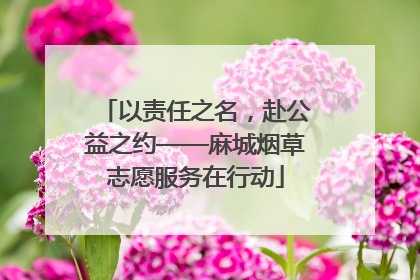 以责任之名，赴公益之约——麻城烟草志愿服务在行动