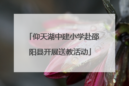 仰天湖中建小学赴邵阳县开展送教活动