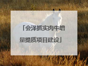 会泽抓实肉牛增量提质项目建设