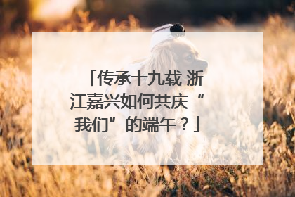 传承十九载 浙江嘉兴如何共庆“我们”的端午？