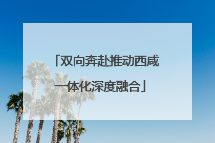 双向奔赴推动西咸一体化深度融合