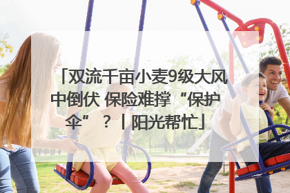 双流千亩小麦9级大风中倒伏 保险难撑“保护伞”？丨阳光帮忙