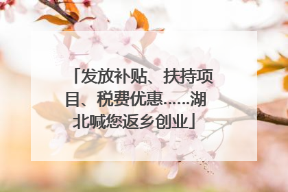 发放补贴、扶持项目、税费优惠……湖北喊您返乡创业