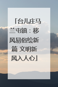 台儿庄马兰屯镇：移风易俗绘新篇 文明新风入人心