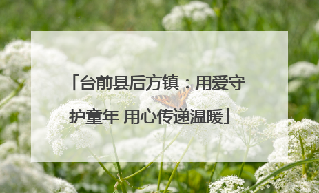台前县后方镇：用爱守护童年 用心传递温暖