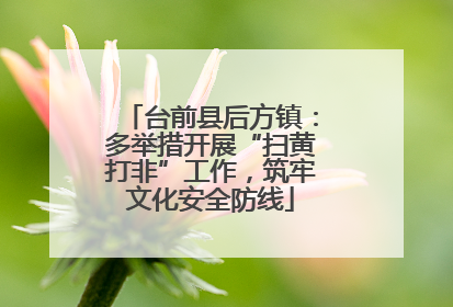 台前县后方镇：多举措开展“扫黄打非”工作，筑牢文化安全防线