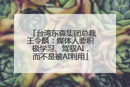 台湾东森集团总裁王令麟：媒体人要积极学习、驾驭AI，而不是被AI利用
