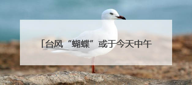 台风“蝴蝶”或于今天中午前后再次登陆！最新动态→