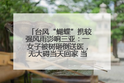 台风“蝴蝶”携较强风雨影响三亚：一女子被树砸倒送医，无大碍当天回家 当地已紧急清障