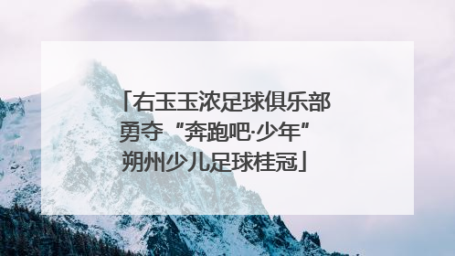 右玉玉浓足球俱乐部勇夺“奔跑吧·少年”朔州少儿足球桂冠