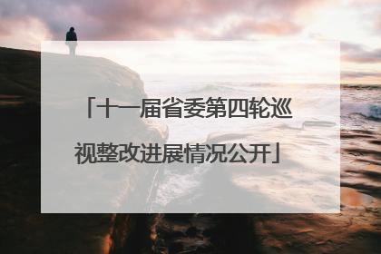 十一届省委第四轮巡视整改进展情况公开