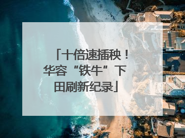 十倍速插秧！华容“铁牛”下田刷新纪录