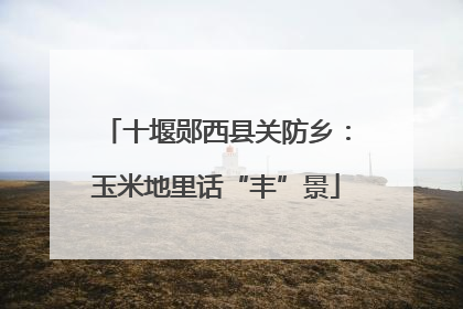 十堰郧西县关防乡：玉米地里话“丰”景