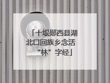 十堰郧西县湖北口回族乡念活“林”字经