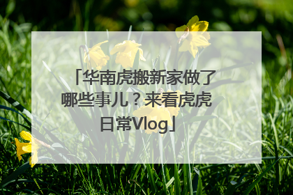 华南虎搬新家做了哪些事儿？来看虎虎日常Vlog