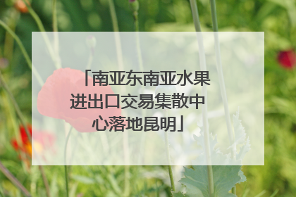 南亚东南亚水果进出口交易集散中心落地昆明