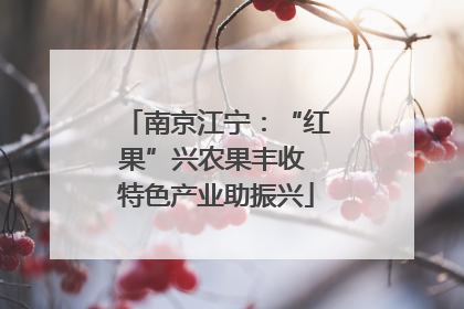 南京江宁：“红果”兴农果丰收 特色产业助振兴