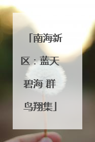 南海新区：蓝天碧海 群鸟翔集