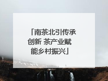 南茶北引传承创新 茶产业赋能乡村振兴