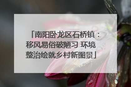 南阳卧龙区石桥镇：移风易俗破陋习 环境整治绘就乡村新图景