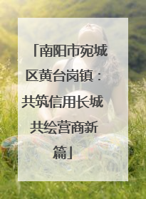 南阳市宛城区黄台岗镇：共筑信用长城 共绘营商新篇