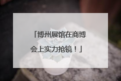 博州展馆在商博会上实力抢镜！