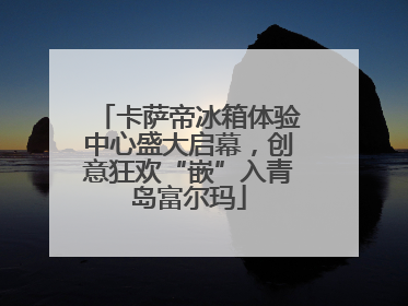 卡萨帝冰箱体验中心盛大启幕，创意狂欢“嵌”入青岛富尔玛
