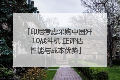 印尼考虑采购中国歼-10战斗机 正评估性能与成本优势