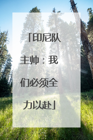 印尼队主帅：我们必须全力以赴