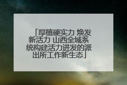 厚植硬实力 焕发新活力 山西全域系统构建活力迸发的派出所工作新生态