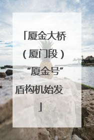厦金大桥（厦门段）“厦金号”盾构机始发