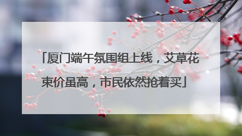 厦门端午氛围组上线，艾草花束价虽高，市民依然抢着买