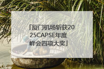 厦门机场斩获2025CAPSE年度峰会四项大奖