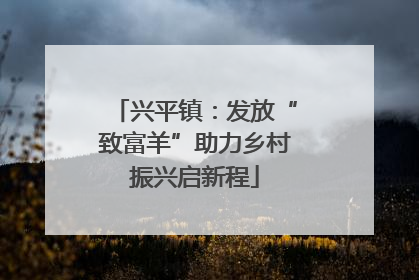 兴平镇：发放“致富羊”助力乡村振兴启新程