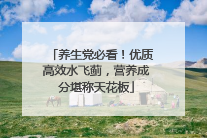 养生党必看！优质高效水飞蓟，营养成分堪称天花板