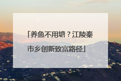 养鱼不用塘？江陵秦市乡创新致富路径