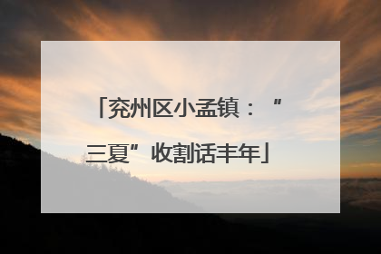 兖州区小孟镇：“三夏”收割话丰年